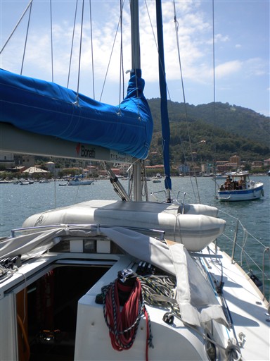 immagine barca