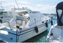 Azimut Az 29