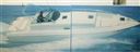 Conam Lupo Di Mare 36 Open