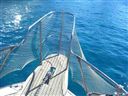 Chris Craft Commander 31 Fly