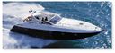 Alfamarine 47