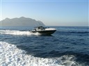 Tornado 38' Classic