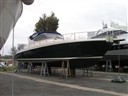 Cayman 43 W.a.