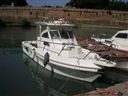 Barracuda Cruiser Day 24