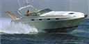 Fiart Mare 35 Genius