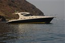 Cayman 43 W.a.