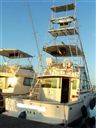 Bertram Yacht 38 Mk Iii