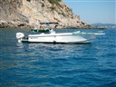 Oceanic 29