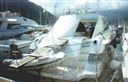 Alfamarine 50