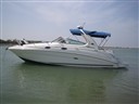 Sea Ray Boats 315 Sundancer