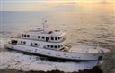 Terranova 115