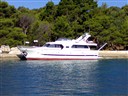 Ccyd 200