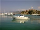 Gagliotta Gagliardo 37