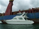 Sea Ray Boats 55 Fly