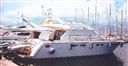 Horizon Yachts Convertible 45