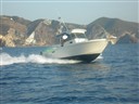 Cantieri Estensi F 300 Bluetime