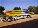 Leopard Usa 36