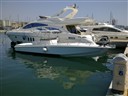 Tempest Marine Phantom 32
