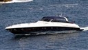 Di Baia Panther F.o. (2)